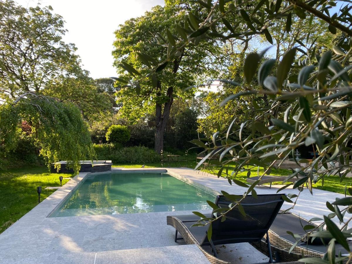Demeure Saint Louis Historic Manor, City 700M, Parking,A C,Clim,Wifi, Heated Pool, City View Carcassone Kültér fotó